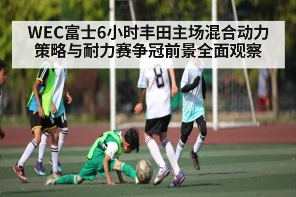 WEC富士6小时丰田主场混合动力策略与耐力赛争冠前景全面观察